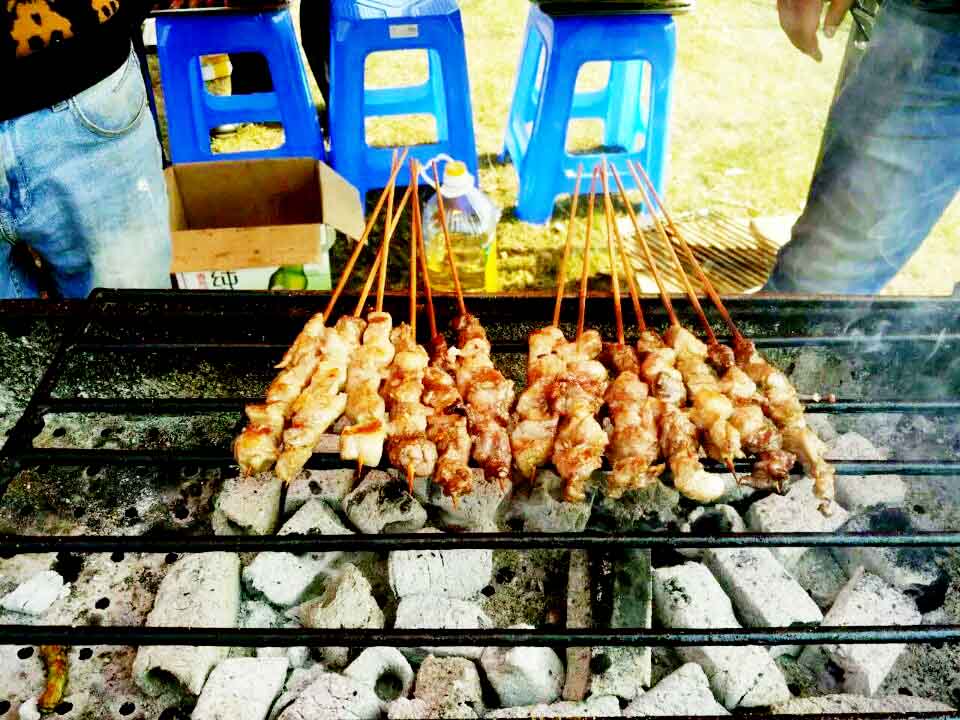 草地音乐主题BBQ
